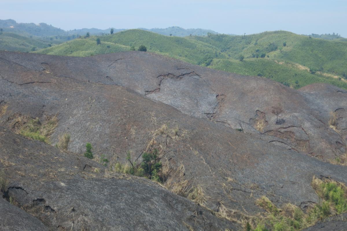 Arakan Moutains - burnt and blundered